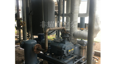 为无油螺杆真空泵正常启动服务【非耀】