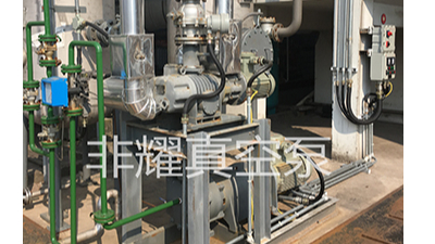 厂家对罗茨水环真空泵机组的相关介绍【非耀】