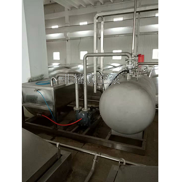 液环真空泵
