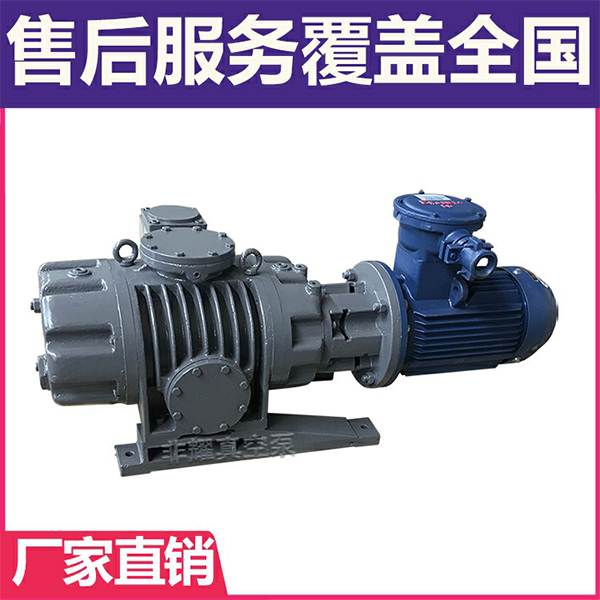 耐腐蚀罗茨真空泵