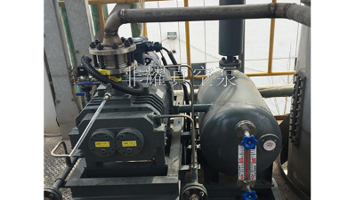 再一次复购定制型干式螺杆真空机组【非耀】