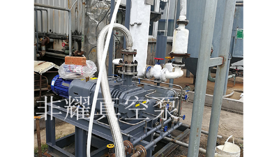 60秒掌握干式螺杆真空泵选型攻略【非耀】