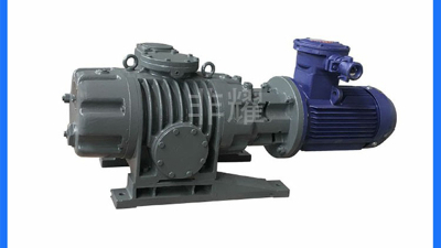 化工行业选ZJP罗茨真空泵，真空难题一站式解决【非耀】